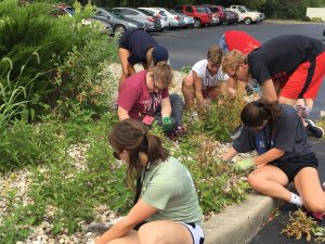 Butler students volunteer their landscaping skills