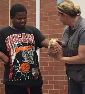 Learning about animals at our new summer camp