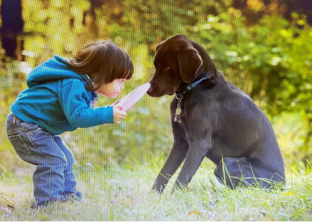 Pets can be a wonderful support for kids with autism